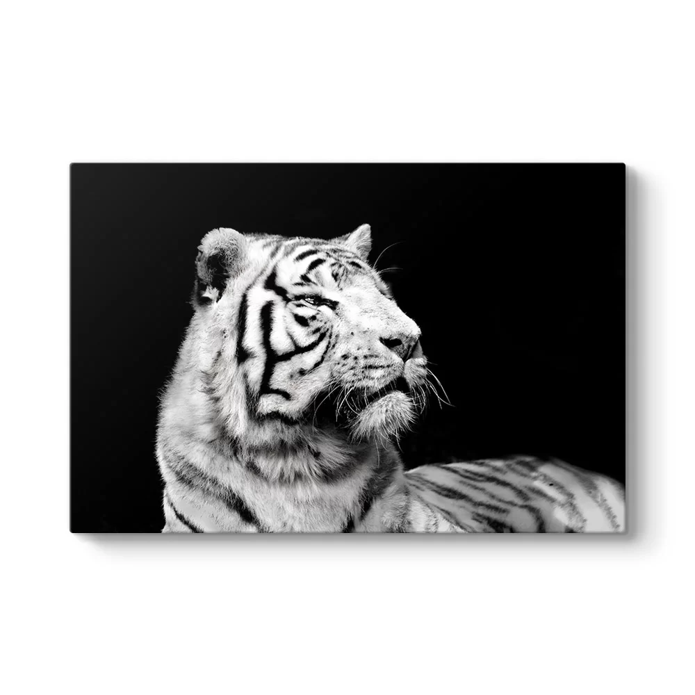 Beyaz Kaplan Profil Tablosu - Model 1